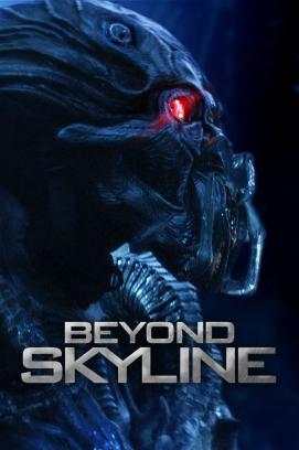 Beyond Skyline