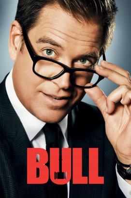 Bull - Staffel 3